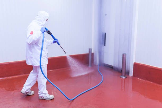 Best Spring Cleaning  in South Fallsburg, NY
